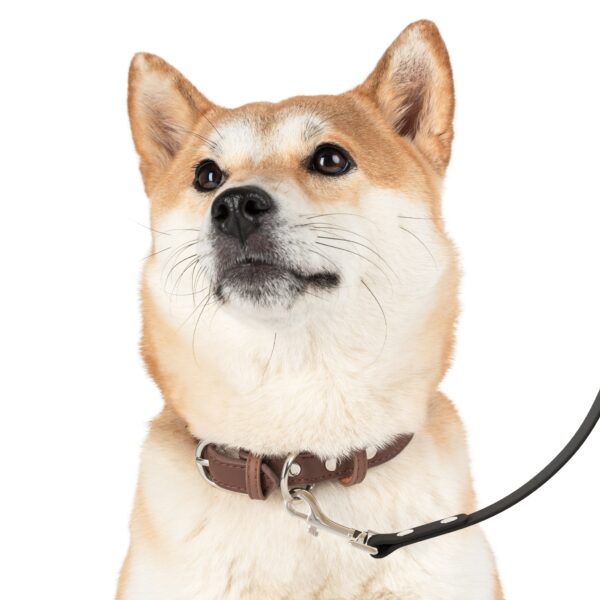 Paw-some Patrol Dog Leash - Image 2